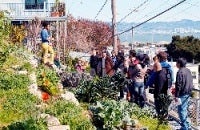 Food Guardians' Walking Tour of Bayview-Hunters Point by Samatha Roxas